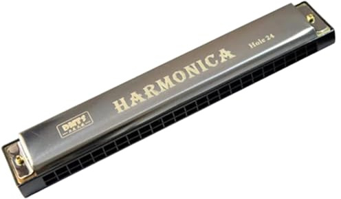 Professionelle C-Mundharmonika Chromatische C Holzblasharmonika Mit 24 Löchern(Silver)