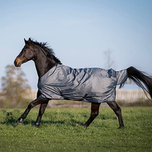 Outdoordecke WINDCHILL 50