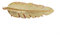 Serviettenringe 12pcs Alloy Leaf Serviettenringe Engelsflügel Federblatt Serviettenschnallen