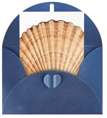 Jakobsmuschel Muschel Blanko-Karten und Umschläge Geburtstagskarten, Weihnachtskarten, Halloween, Dankesbriefe, Ermutigungskarten