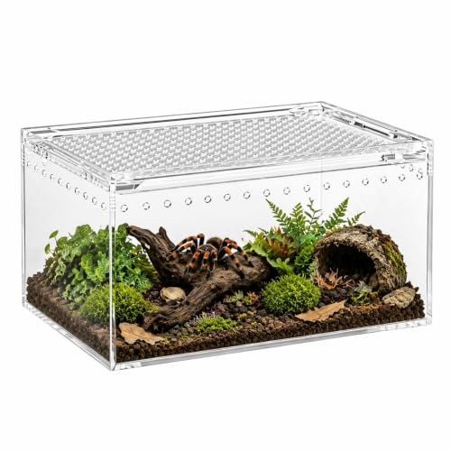Mini Terrarium aus Acryl, ausbruchsichere Insektenbox für Reptilien | Vivarium & mini terrarium mit Panoramablick, als springspinne terrarium nutzbar, leicht zu reinigen für Spinnen und Käfer