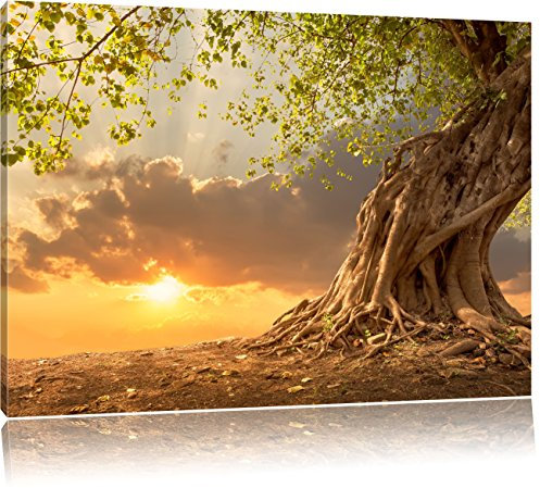 Pixxprint Baum, Größe: 120x80cm, Leinwandbild, fertig gespannt, Wandbild, Dekoration, Kunstdruck, kein Poster