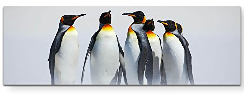Eau Zone Wandbild auf Leinwand 150x50cm Pinguin Gruppe