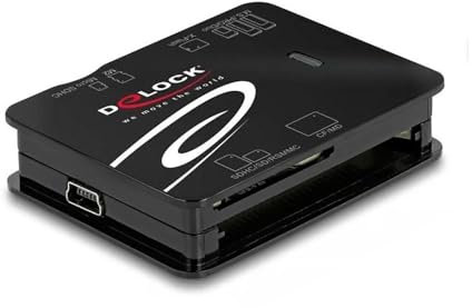 Delock Tarjeta-Lesegerät USB 2.0 Compact Flash /