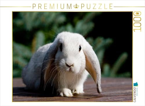 CALVENDO Puzzle Farbenzwerg | 1000 Teile Lege-Größe 64 x 48 cm Foto-Puzzle für glückliche Stunden