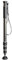 Gitzo GM2542 camera monopod - camera monopods (Carbon, Black, 1/4, 3/8)