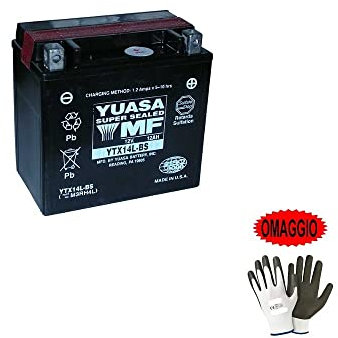 Compatible avec Harley Davidson XR 1200 2008-2010 Batterie YUASA YTX14L-BS (FOURNIE SCELLÉE) Batteries 12V / 12AH pour Moto SPÉCIFIQUES 150X87X145