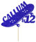 Personalised Skateboard Skater Glitter Cake Topper- Bright Blue Any Custom Age & Name Glitter Cake Decoration and Sprinkles - Happy Birthday Decorations - Personalised Toppers for Cakes by Cakeshop