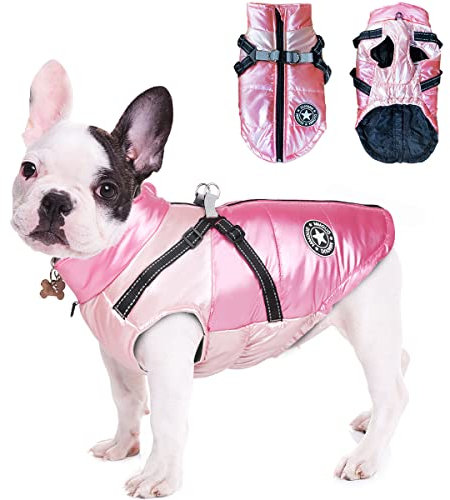 Hundemantel Winter, RosyFate Hund Warm Kleidung, Welpen Jacke, Weste Hund, Hunde Mantel Regendicht Winddicht, Hundemantel für Kleine und Mittlere Hunde (Rosa M)