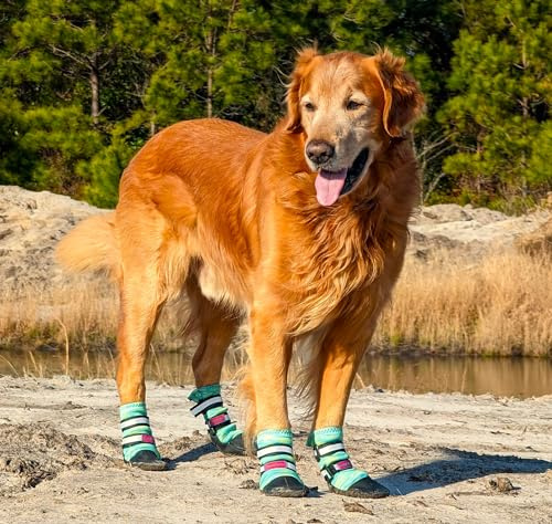Bark Brite Allwetter-Neopren-Hundeschuhe mit reflektierenden Riemen, Large, Türkis