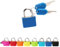 Btkigl Petit cadenas léger en acier pour valise, journal intime, cadenas décoratif avec 2 clés (rouge)
