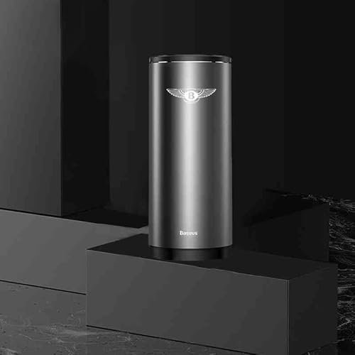 BAUFAS Auto Mülleimer, Für Bentley Mulsanne 2016-2020, Tragbare Mülleimer Auto, Geruchshemmend, Hängende Aufbewahrungsbox, Mehrzweck-Mülleimer,B