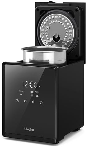 Livatro Umidificatore ad aria a vapore caldo in acciaio inossidabile 3L, facile da pulire con funzione vapore caldo, umidificatore sano per camera da letto e soggiorno, nero