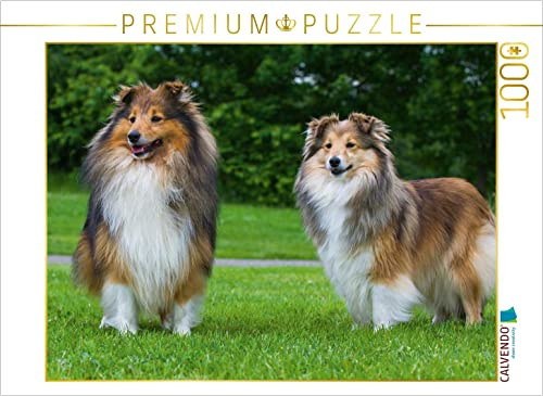 CALVENDO Puzzle Sheltie - EIN Traumpaar | 1000 Teile Lege-Größe 64 x 48 cm Foto-Puzzle für glückliche Stunden