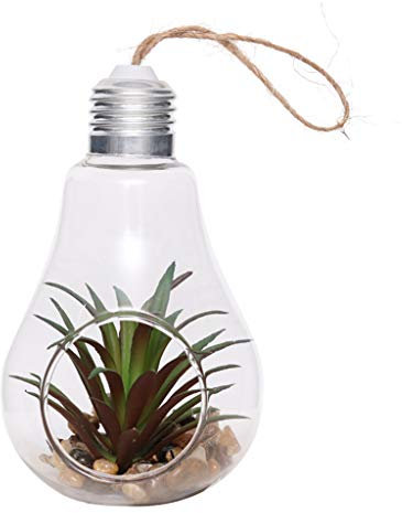 Ranuw Pot de fleurs suspendu en verre en forme d'ampoule - Support pour plantes aériennes - Pot de fleurs - Terrarium - Boule en verre suspendue pour plantes aériennes, succulentes ou petites plantes