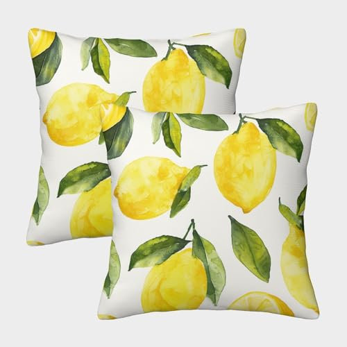 FPAKAKIIE Zitrone Kissenbezüge 2er-Set, Weiche Für Wohnzimmer, Schlafzimmer, 3D-gedruckt, Dekorativer Fruits Wurfkissenbezug Für Sofa, Couch, Stuhl Kissenhülle 50x50cm