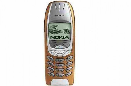 Nokia 6310 cellulare Bronzo