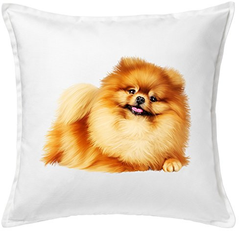 Pomeranian Dog Funny Kissen / Cushion & Pillow (Weiß