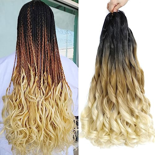 French Curl Braided 22 Inch Crochet Extensions, 8 Packs (1B/27/613)
