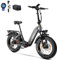 ttgo E Bike Klapprad, 20 Zoll Elektrofahrrad für Herren mit 36V 25AH Abnehmbarem Akku, 4.0 Fat-Tire Mountain Ebike mit 250W Mittelmotor und Drehmomentaufnehmer Reichweite 80-100KM, F6 (Grau)