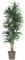 Dracena Kunstbaum 150cm mit 210 Textilfaser Blättern grün weiß und 2 Naturstämme - Künstlicher Drachenbaum mit Echtholz Stämmen