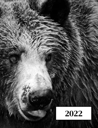 2022: Kalender 2022-2023 (Januar bis Dezember) - Kalenderjahr - Für Studenten, Berufstätige und Privatpersonen - Wochenplaner A4