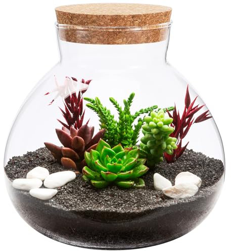 GANAZONO Bottiglia Ecologica Micro Paesaggio Vasi da Terrario Bottiglia di Paesaggio Terrari Vegetali in Bottiglia di Paesaggio Vuoto Sughero Domestico Ufficio Palla di