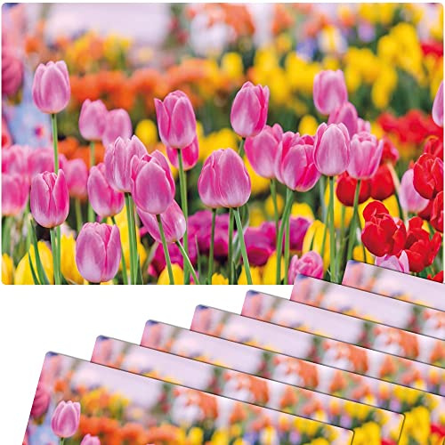matches21 Frühlingshafte Tischsets Platzsets Motiv abwaschbar Pinke Tulpen Blumenwiese bunt 8er 43,5x28,5 cm