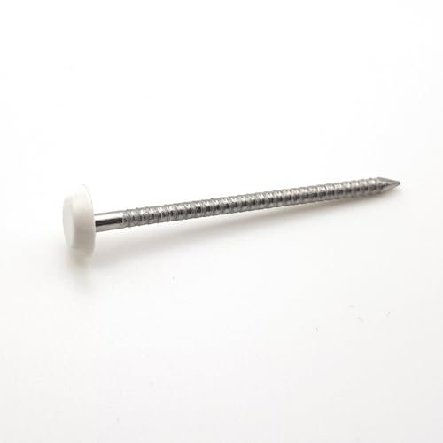 Pointes tête RAL 9016 blanche Inox A4 pour rive 65 mm par 100