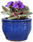 Dphagesy African Violet Pots Selbstbewässernder runder Keramiktopf (Blau, 15,2 cm)