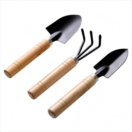 AOEVUIR 3 pcs Juego de herramientas de jardín paleta de jardín mango de madera pequeño, paleta de jardín paleta de jardín pequeña para bonsáis plantas en macetas