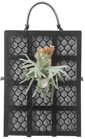 Kit De Montaje De Helecho Cuerno De - Marco De Planta Vertical Colgante | Soporte De Plantación De Madera | Tablero De Plantación De Helecho Cuerno De | Puerta De Pared Decorativa para