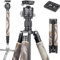 INNOREL RT75CM Carbon Fiber Tripod 172cm Professional 2-in-1 Travel Tripod & Ballhead Kit Monopod Max Load 20kg Max Tube 29mm Heavy Duty Camera Support with Center Column N44 Ball Head(RT75CM+N44)