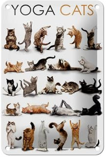 Blechschild 18 x 12 cm Yoga Cats ! - DekoNo7