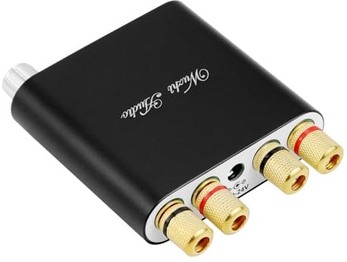 QWORK® Amplificatore Bluetooth, Mini HiFi Amplificatore 100 W x 2 Due Canali, Amplificatore Audio con Ingressi AUX-USB per Altoparlanti Passivi