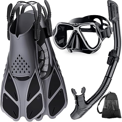 Zenoplige Snorkeling Gear for Adults, Panoramic Mask Anti-Fog & Dry Snorkel