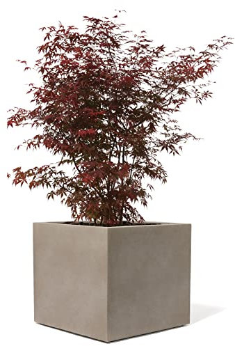 Kirschke Pflanzkübel groß außen - Fiberglas Blumenkübel quadratisch 31x31x31cm - Premium Blumenkasten für Draußen - Blumenkübel Frostsicher - Blumenkasten für den Garten Sepia - Bradford