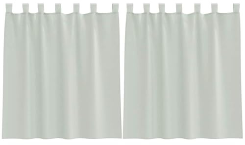 vidaXL Voile Vorhänge mit Schlaufen 2 STK. Hellgrau 140x140 cm