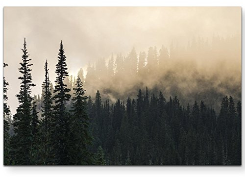 Paul Sinus Art Leinwandbilder | Bilder Leinwand 120x80cm Wald im Nebel