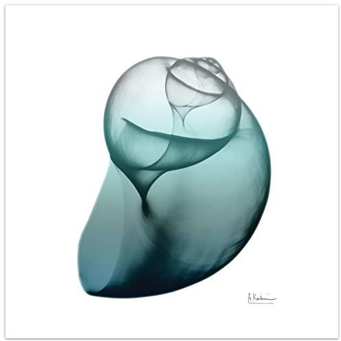 Empire Art Direct Shimmering Snail I Wall Art on Frameless Free Floating Tempered Glass Panel Fertig zum Aufhängen, Wohnzimmer, Schlafzimmer und Büro, Hartglas, Schimmernde Schnecke I, 24L x 0.2W