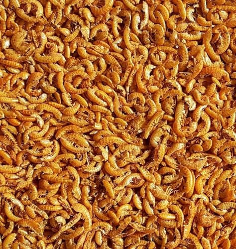 Natural Dried Small Shrimps 750g Premium Quality Complete Food For all Tropical, Pond Fish Reptiles etc MDDS