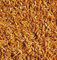 Natural Dried Small Shrimps 750g Premium Quality Complete Food For all Tropical, Pond Fish Reptiles etc MDDS