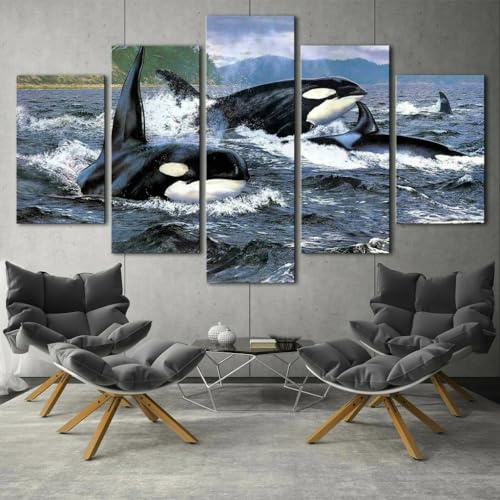 SHENGXINA abstrakte bilder leinwand bild auf leinwand 5 teiliges wandbild Orca Stration Wal Ozean leinwandbilder wohnzimmer Wanddeko Wohnkultur Kreatives Geschenk 150X80