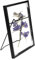 Bilderrahmen Stehend Glas A5, 15 X 20 Cm Glasrahmen für Gepresste Blumen Bilderrahmen Glas Beidseitig Fotorahmen Metall Glas Bilderrahmen Gepresste Blumen für Foto, Probe, Kunstwerk (Schwarz)