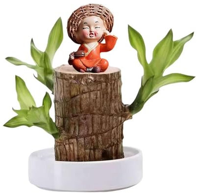 Arbre porte-bonheur, plante porte-bonheur brésilienne avec statue de moine, ensemble de plantes hydroponiques en bois brésilien à croissance facile, mini pots de fleurs en bois du Brésil pour pots (B)