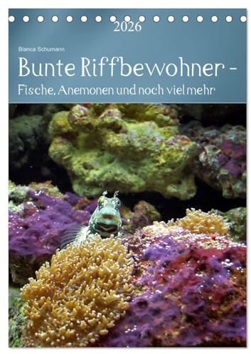 Bunte Riffbewohner - Fische, Anemonen und noch viel mehr (Tischkalender 2026 DIN A5 hoch), CALVENDO Monatskalender: Tropische Riffe bieten eine große Vielfalt an Lebewesen und Farben (CALVENDO Tiere)