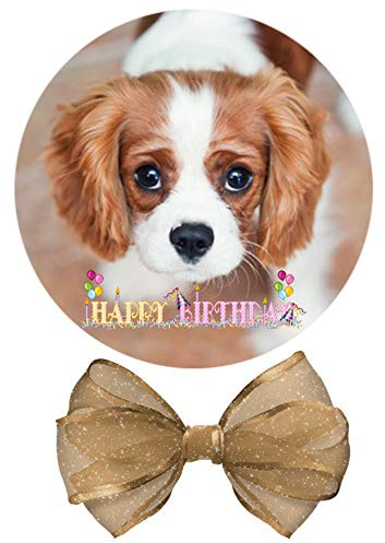 Hund Tortenaufleger,Geburtstag,Tortendeko ca.20cm