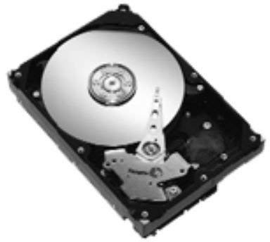 Seagate 80GB 8,9 cm SATA 7200 8MB Bulk/OEM Festplatte ST380815AS (Renewed)