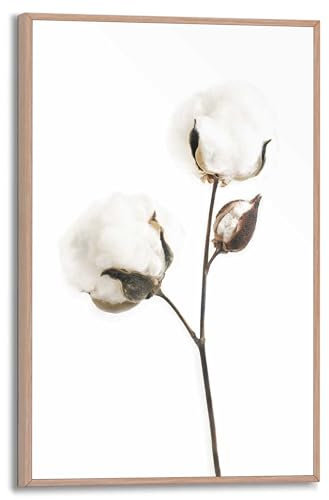 REINDERS Gerahmtes Bild, Baumwollzweig, Wohnzimmer, Bilder, Wanddeko, Room Decor, MDF, Schwarz-Weiß, 30x20cm