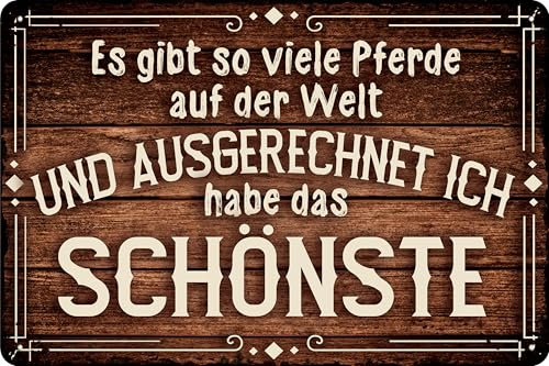 30 x 20 cm – Wetterfestes Pferdeschild, Pferd Deko Schild, Lustiger Spruch für Pferdebesitzer (Es gibt so viele Pferde auf der Welt und ausgerechnet ich habe den Schönsten)